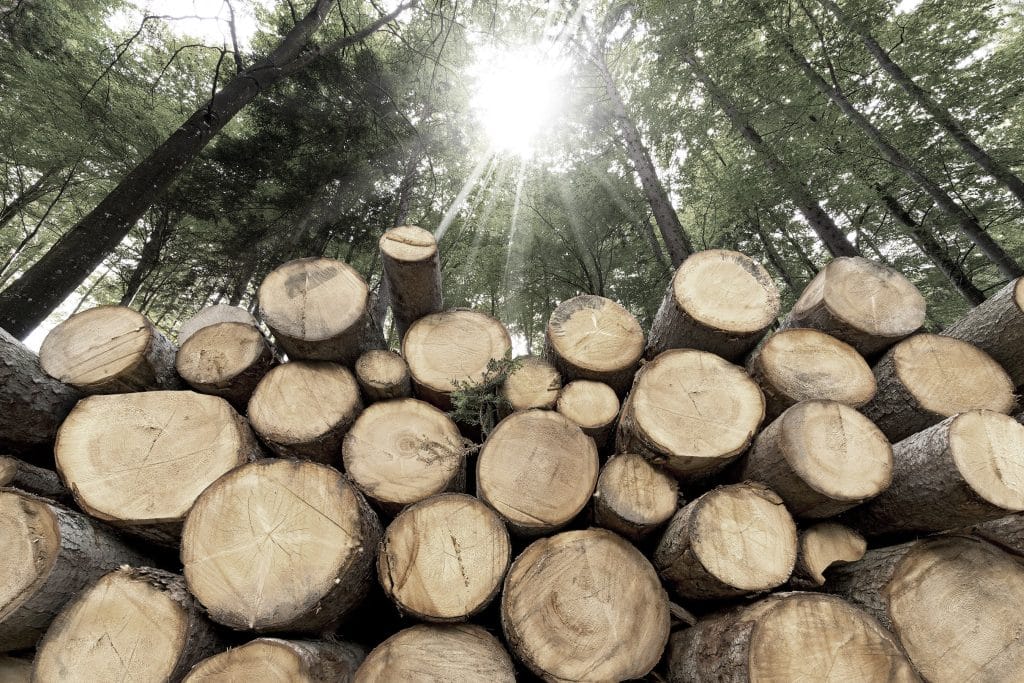 SA timber prices are on fire, changing construction forever